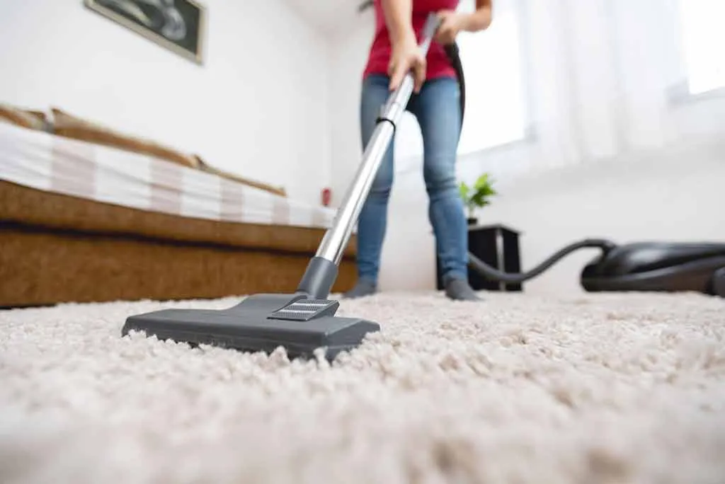 Best Carpet Cleaning Solution for Stairs: A Melbourne Guide