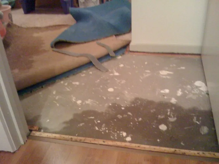 What to Perform for Carpet Flooding while Waiting for a Specialist?