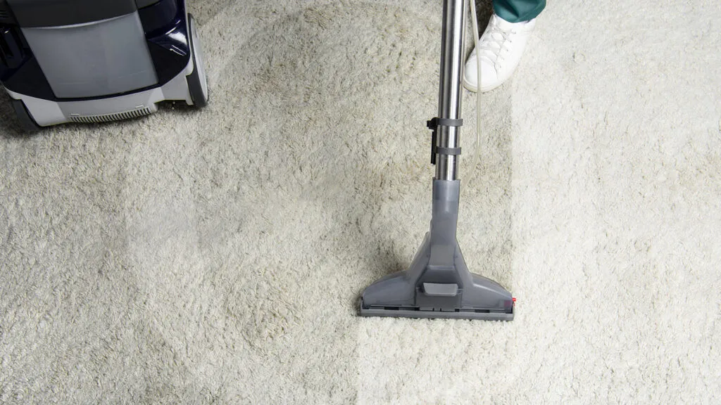 What To Expect During A Professional Carpet Cleaning Service?
