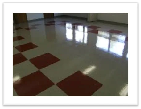 Polished Vinyl Floor