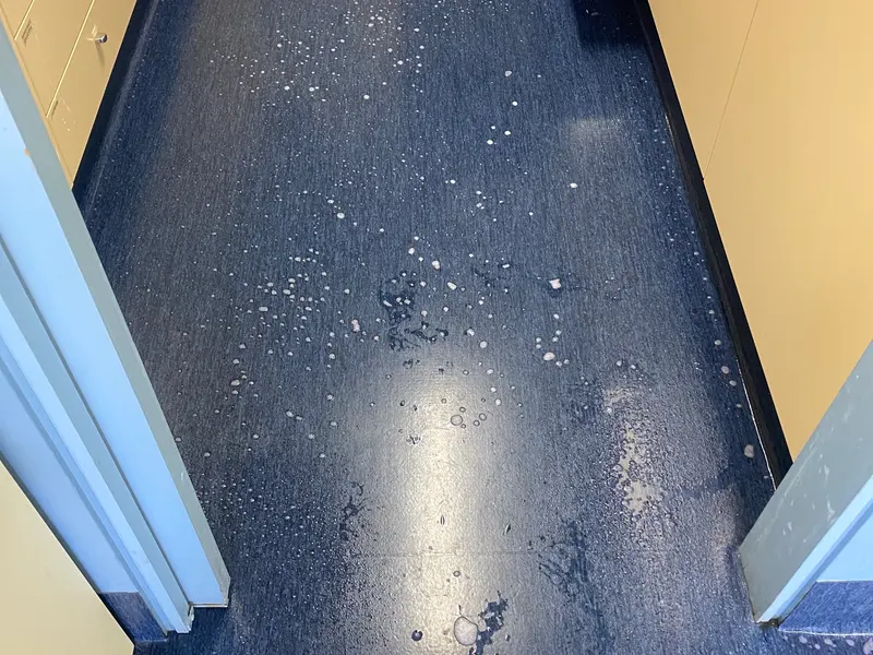 Blue commercial sheet vinyl being machine scrubbed before polishing