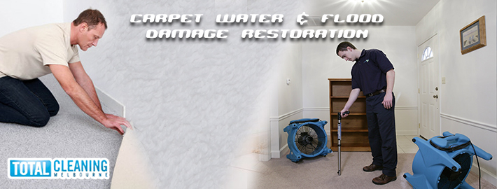 Carpet Steam Cleaning in Melbourne - Carpet water flood damage restoration