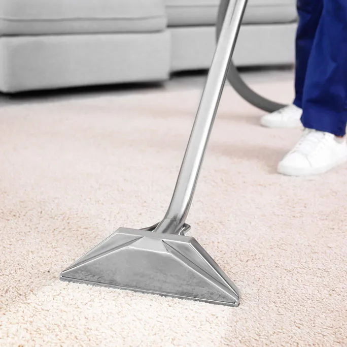 Professional carpet steam cleaning in Melbourne