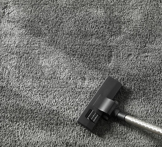 Carpet dry cleaning with industrial vacuum
