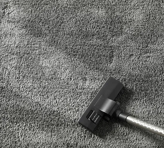 Carpet dry cleaning with industrial vacuum