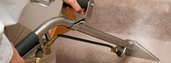 Carpet steam cleaning - hot water extraction in progress