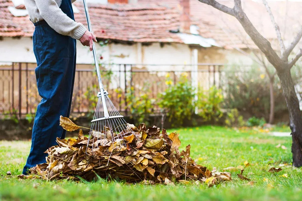 Garden clearing and yard clearing service in Melbourne