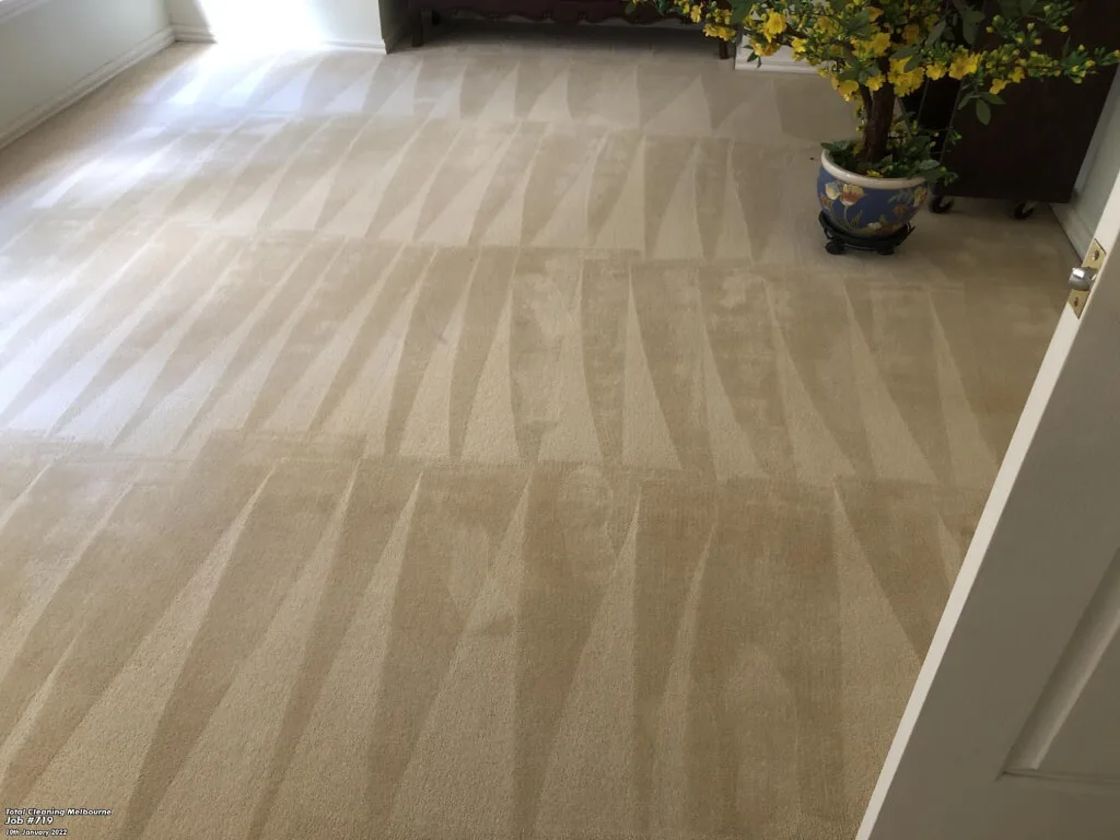 Carpet steam cleaning - restored to like-new condition