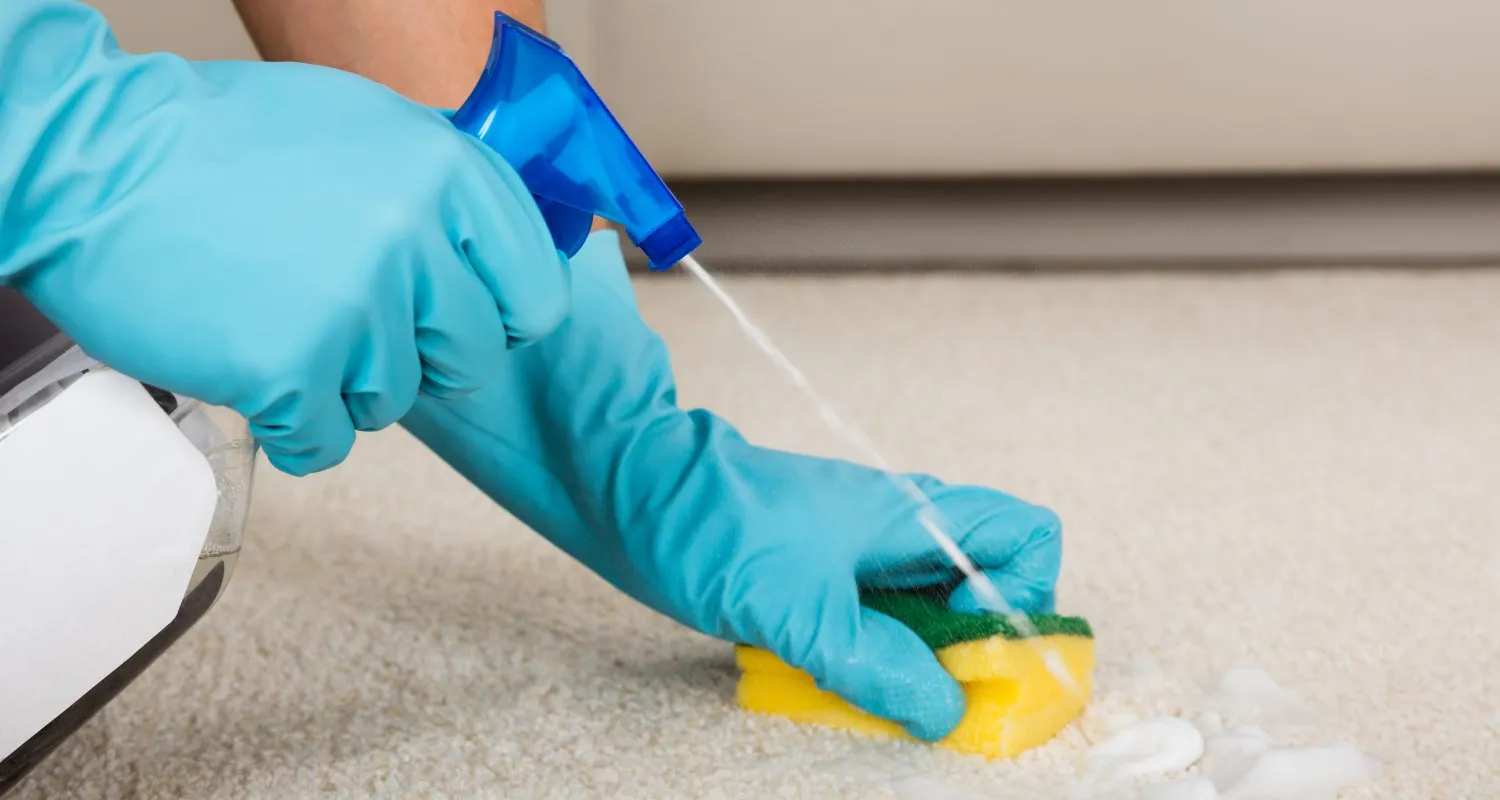 Pet stain treatment and odour removal in Melbourne