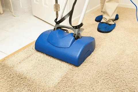 Melbourne Carpet Cleaning