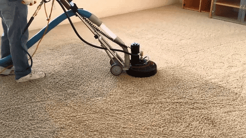 Carpet Cleaning Professionals in Melbourne