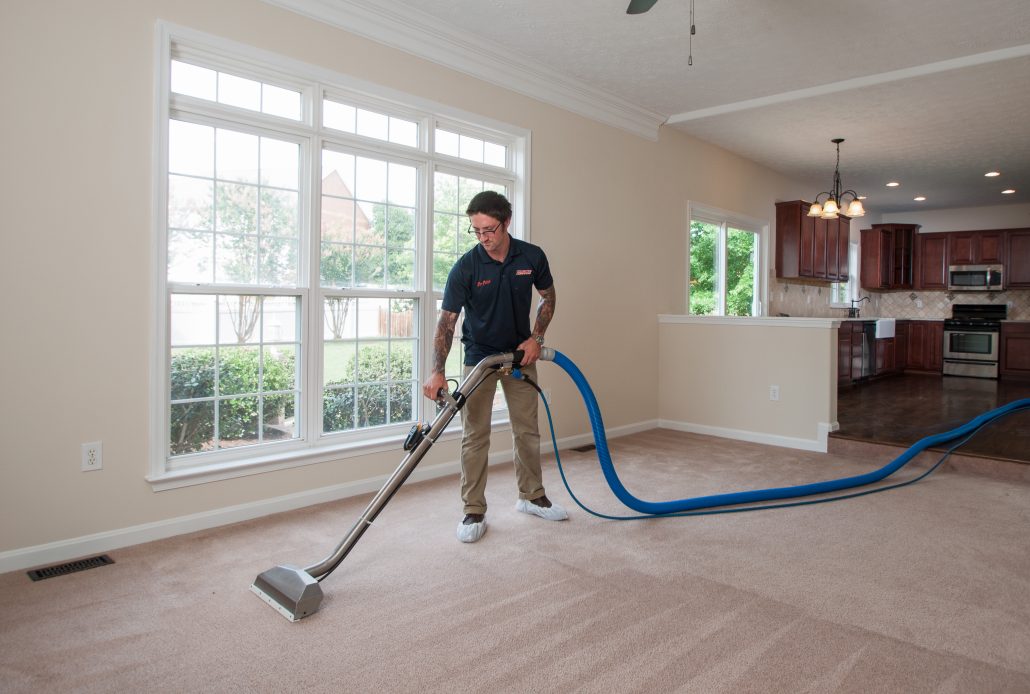 Carpet Cleaning