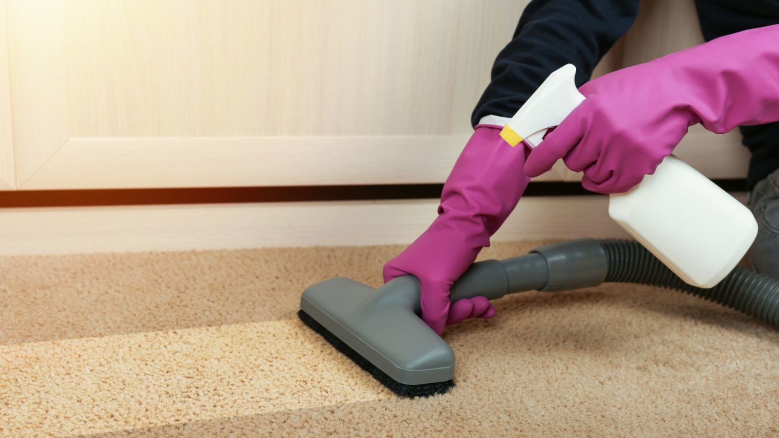 Carpet Cleaning