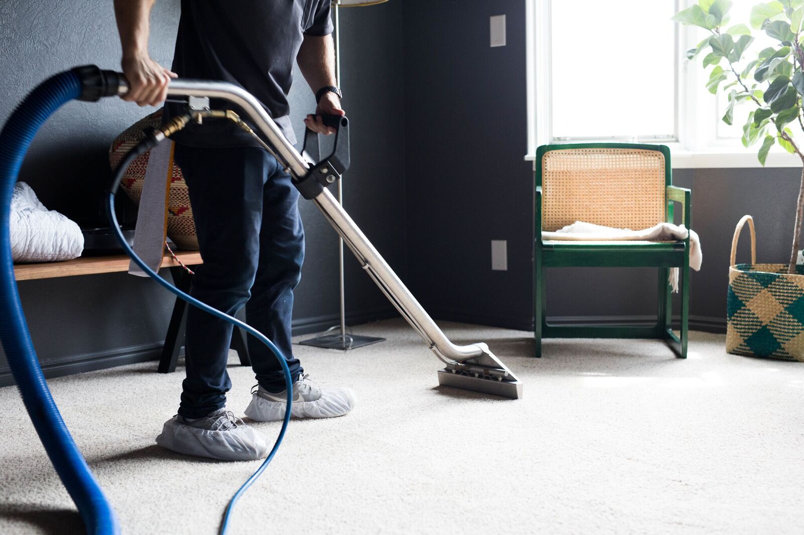 DIY Carpet Cleaning