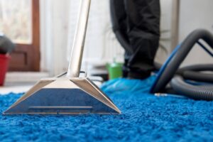 Carpet Cleaning